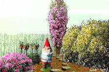 Garden design: Garden design:Grome