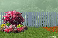 Garden design: Garden design:cabina
