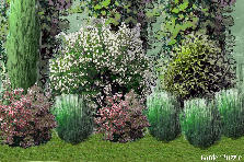 Garden design: Garden design:Rocalla 1 Eva