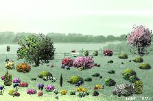 Garden design:Project by 4 year old kid Garden design:Aanisah Garden