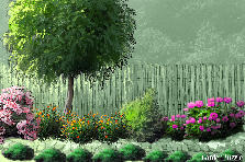Garden design:g Garden design:g