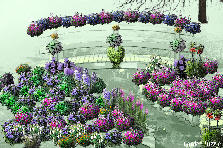 Garden design: Garden design:kreationz