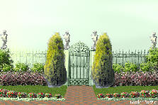 Garden design: Garden design:welcome!