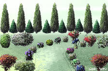 Garden design: Garden design:gradina cu alee