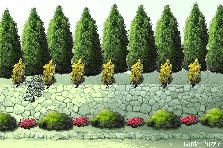 Garden design: Garden design:barnett residence