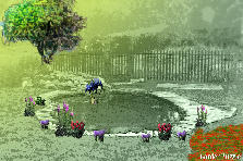 Garden design:Natural Design for front yard Garden design:Front Yard