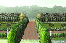 Garden design: Garden design:French garden