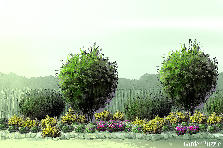 Garden design: Garden design:back fence