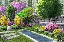 Garden design:qqqqqqqqqq Garden design:park entrance