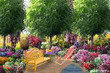 Garden design:pretty Garden design:pretty