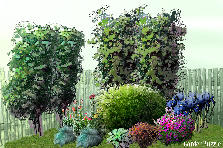 Garden design: Garden design:prova