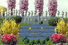 Garden design:garden Garden design:My Garden