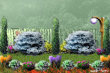 Garden design:Our backyard!!! Garden design:8 South Road Backyard