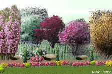 Garden design:misc Garden design:geeks_garden