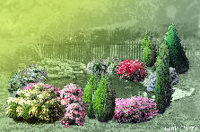Garden design:love Garden design:loulout