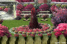 Garden design: Garden design:Moulin Rouge