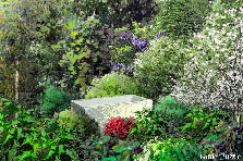 Garden design: Garden design:The vampire's grave