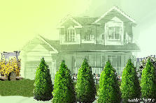Garden design:simple bt beautiful Garden design:drmz hauz
