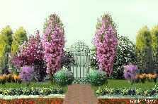 Garden design: Garden design:MY GARDEN <3