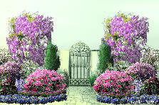 Garden design: Garden design:dream