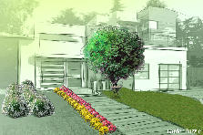 Garden design: Garden design:201110228