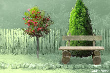 Garden design: Garden design:proba