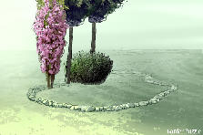 Garden design: Garden design:1