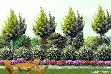 Garden design: Garden design:El hermoso Jardin