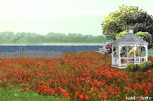 Garden design:yau yau Garden design:the first