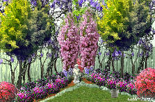Garden design:Primer jardin! Garden design:The garden firsht