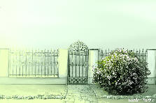 Garden design:flowers Garden design:Wonderland