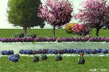 Garden design: Garden design:color