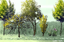 Garden design:fiz pra ver como vai ficar... Garden design:iniciante
