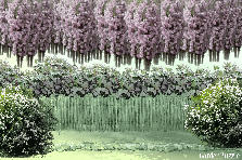 Garden design:jUst dO it, COz Im bOred??? Garden design:Garden