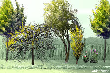Garden design:fiz pra ver como vai ficar... Garden design:iniciante2