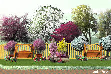 Garden design: Garden design:konnara_ttt@hotmail.com