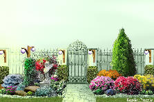 Garden design:test Garden design:front
