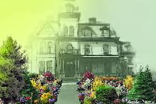 Garden design: Garden design:P1