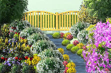 Garden design: Garden design:rio paradiso