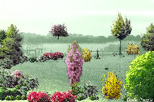 Garden design:un sueno de trankilidad y paz Garden design:mi jardin