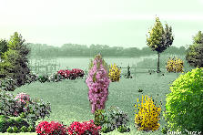 Garden design:un sueno de trankilidad y paz Garden design:mi jardin