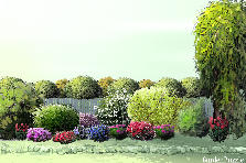 Garden design: Garden design:vvjn