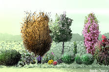 Garden design:essai Garden design:chambon