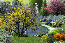 Garden design: Garden design:Serenity