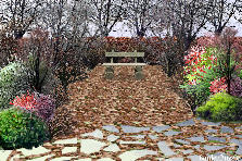 Garden design:Winter Walk