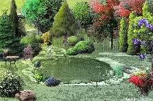 Garden design: Garden design:Garden 1