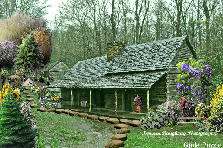 Garden design:Photo taken in the Smokie Mountains. One of my favorite places to go. This is my personal photo and is copyrighted by me. It cannot be used without my permission. I love this program and think that it really brings the place that I love to life. I hope you enjoy it as much as I do. Blessings:) Garden design:Smokey Mountain Memories