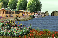 Garden design: Garden design:rosa di mare