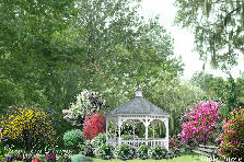 Garden design:A day in the life of someone lucky enough to spend it in a dream. Garden design:Southern Comfort