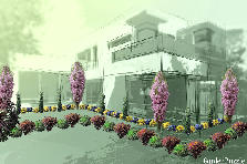 Garden design: Garden design:Modern House